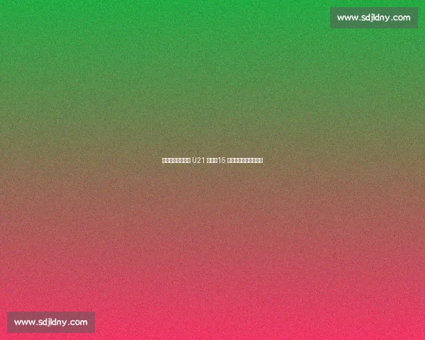 女接待员怒闯德国 U21 大巴!15 个啤酒杯引发跨国风波