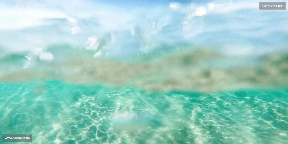 米兰官网🏓小球转动大世界，每一拍都是热爱 —— 乒乓对决，等你来战！